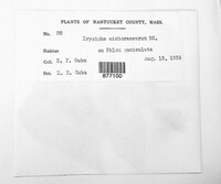 Image Associated With the Occurence